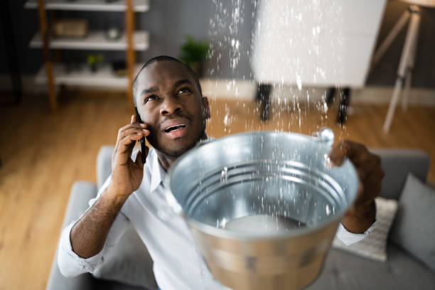 Best Flooded house restoration  in Mount Sterling, IL