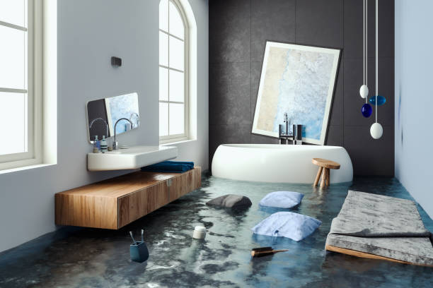 Best Carpet water damage restoration  in Mount Sterling, IL
