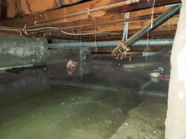 Best Residential water damage restoration  in Mount Sterling, IL