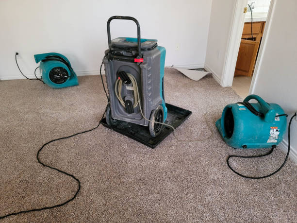 Best Local water damage restoration  in Mount Sterling, IL
