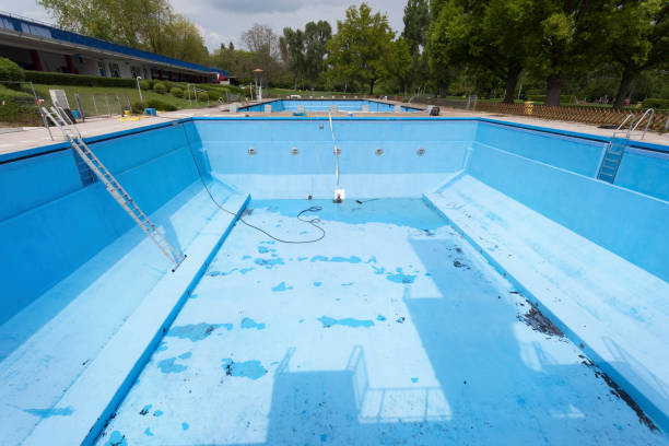 Best Professional water damage repair  in Mount Sterling, IL