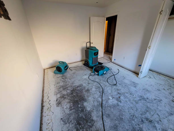 Best Water damage restoration near me  in Mount Sterling, IL
