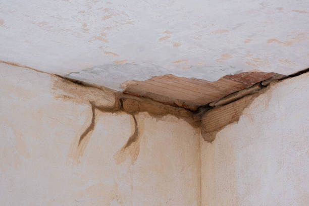 Best Water damage cleanup near me  in Mount Sterling, IL