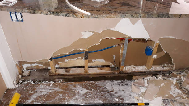 Best Flood damage cleanup  in Mount Sterling, IL