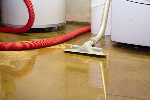 Best Commercial water damage restoration  in Mount Sterling, IL
