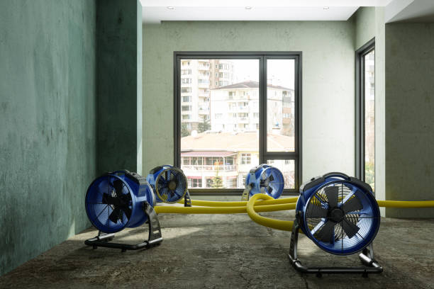 Best 24/7 water damage repair  in Mount Sterling, IL